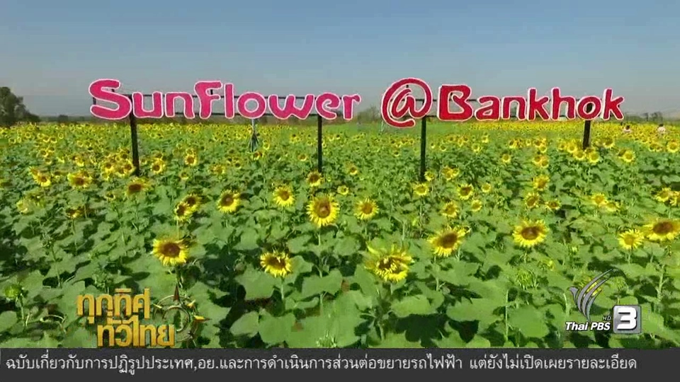 ประเด็นข่าว (27 ธ.ค. 59)