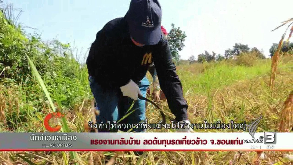 แรงงานกลับบ้าน ลดต้นทุนรถเกี่ยวข้าว จ.ขอนแก่น