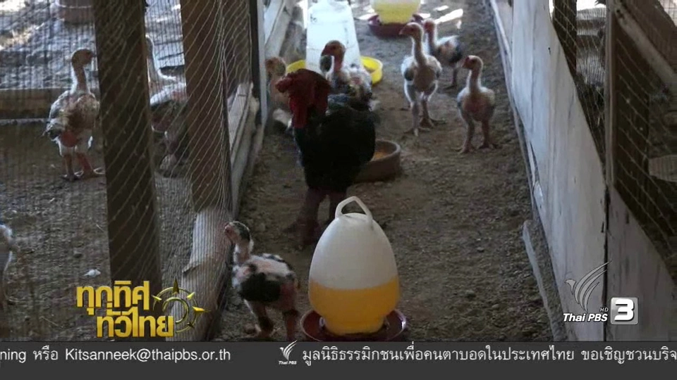 ประเด็นข่าว ( 5 ม.ค. 60)