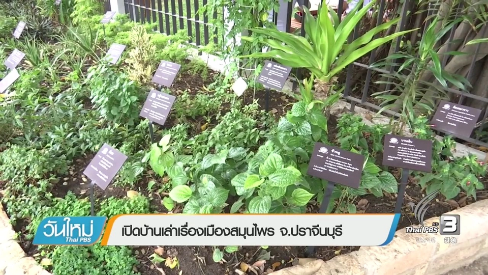 เปิดบ้านเล่าเรื่องเมืองสมุนไพร จ.ปราจีนบุรี