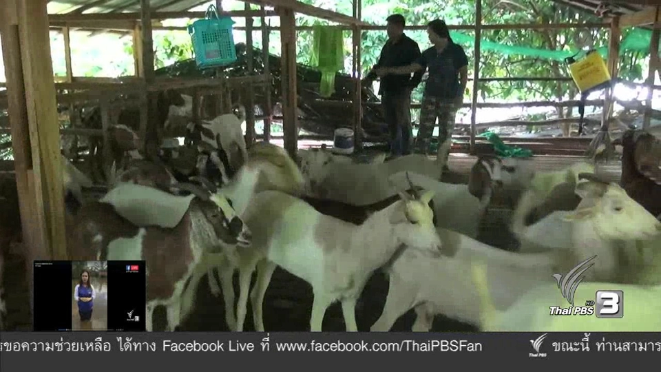 ประเด็นข่าว ( 9 ม.ค. 60)