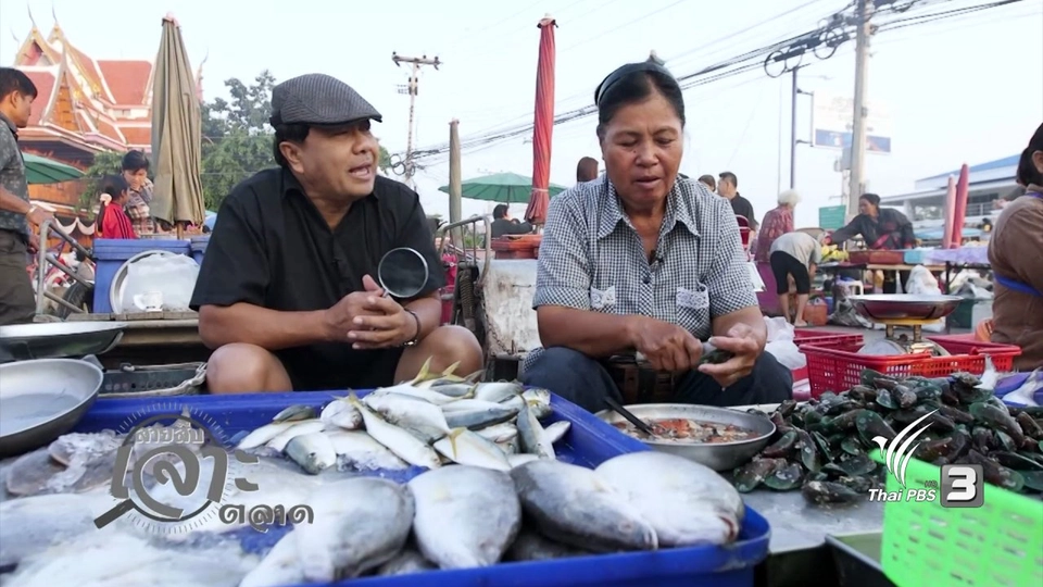 สืบราคาอาหารทะเลสดๆ กันที่ตลาดบางตะบูน
