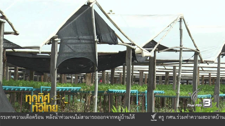 ประเด็นข่าว ( 12 ม.ค. 60)