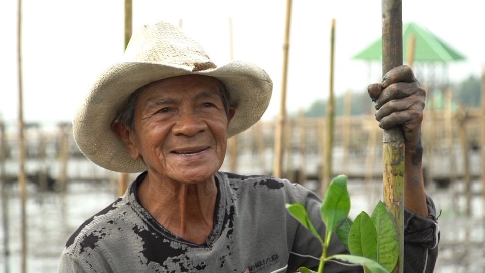 เฒ่าทะเลแห่งสมุทรสาคร