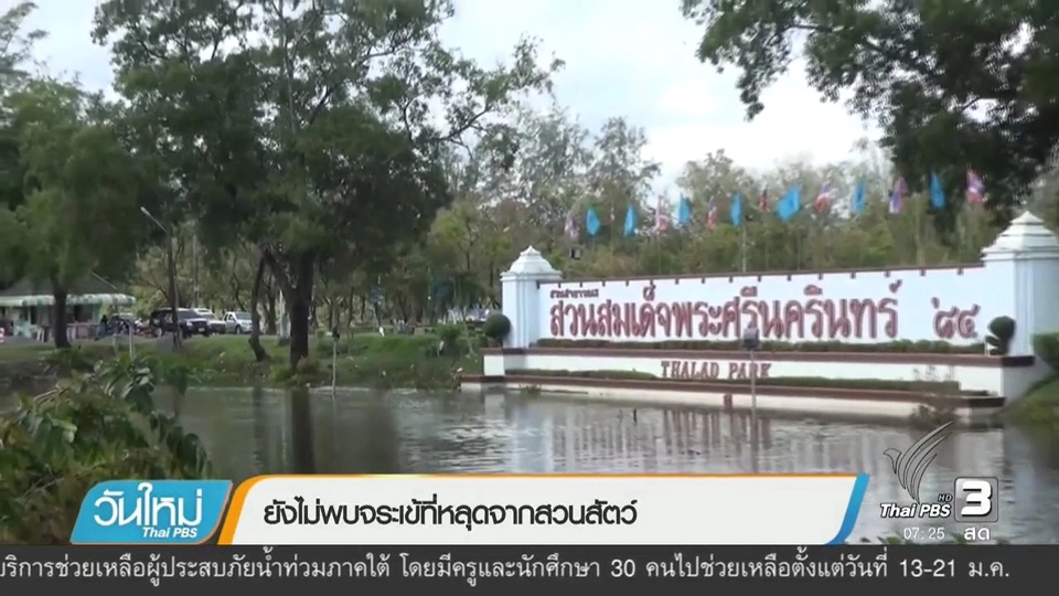 ยังไม่พบจระเข้ที่หลุดจากสวนสัตว์