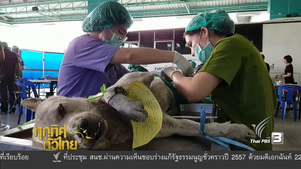 ประเด็นข่าว ( 13 ม.ค. 60)