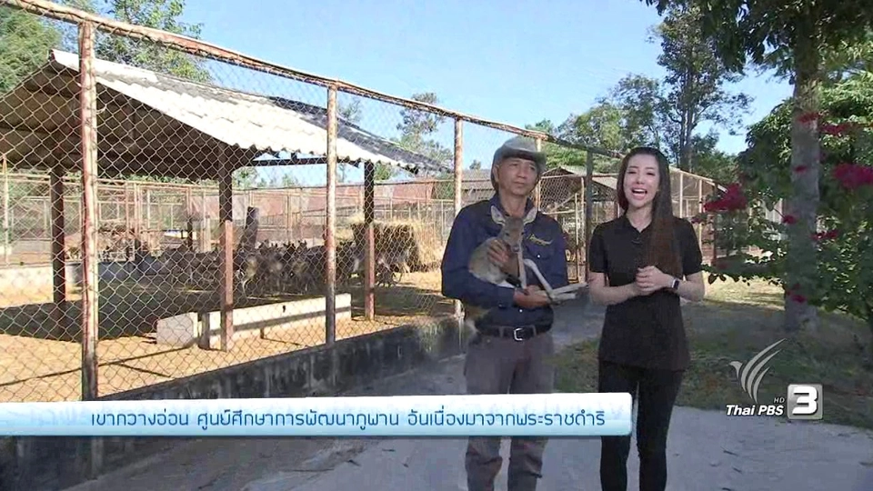 เขากวางอ่อน ศูนย์ศึกษาการพัฒนาภูพานฯ อันเนื่องมาจากพระราชดำริ, วิสาหกิจชุมชน กลุ่มชีววิถีบ้านน้ำเกี๋ยน