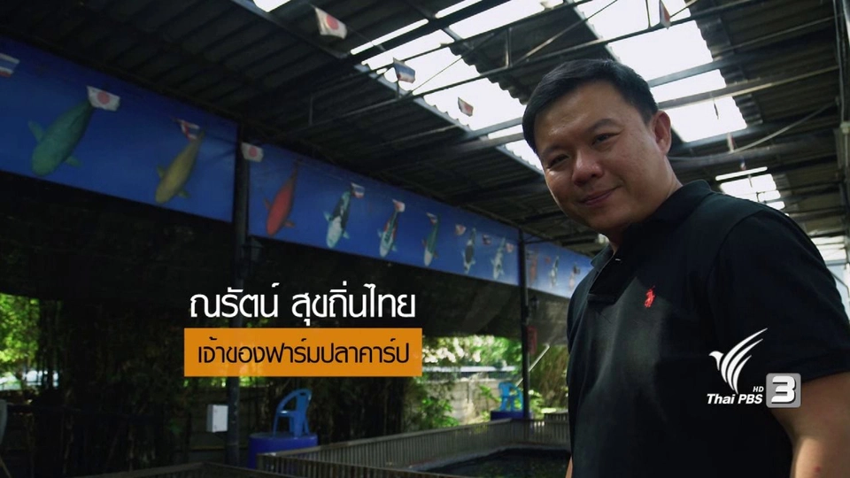 เลี้ยงปลาคาร์ป