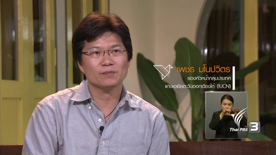 ความคิดเห็นจากแฟนรายการไทยพีบีเอส