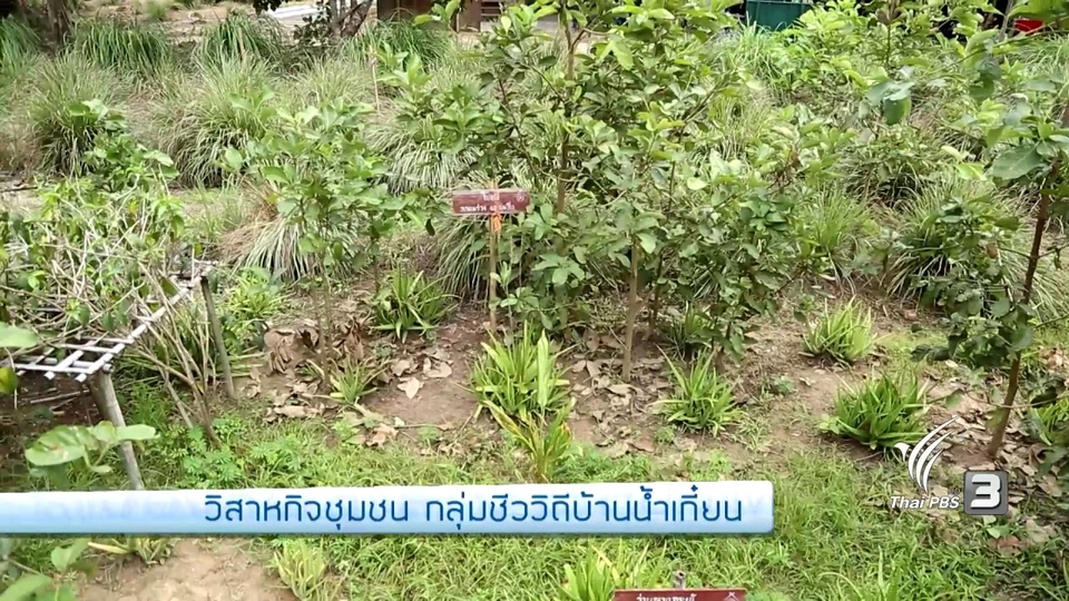 ช่วงเก๋ายกก๊วน : วิสาหกิจชุมชน กลุ่มชีววิถีบ้านน้ำเกี๋ยน