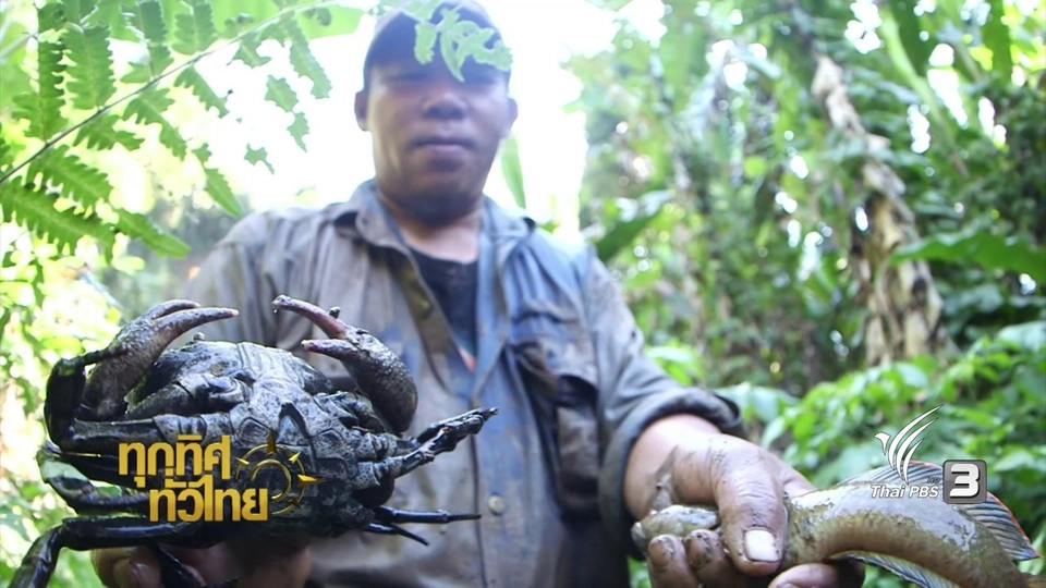 ประเด็นข่าว ( 23 ม.ค. 60)