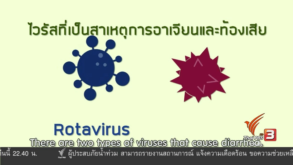 soเชี่ยว FAKE or FACT : "โนโรไวรัส" ระบาดในประเทศไทยจริงหรือไม่