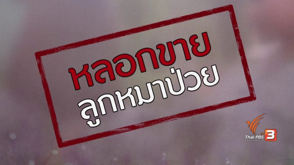 ภัยรอบตัว : หลอกขายลูกหมาป่วย