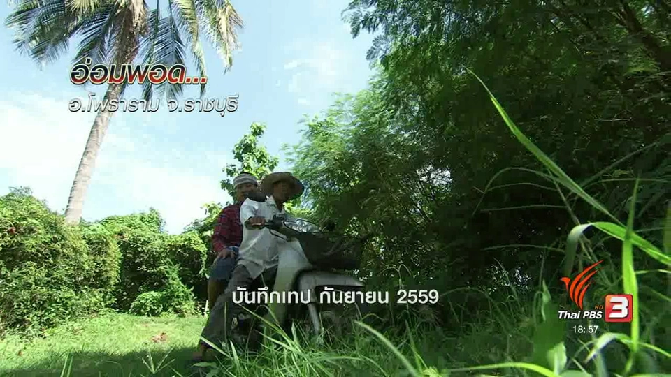 ตะลุยทั่วไทย : อ่อมพอด