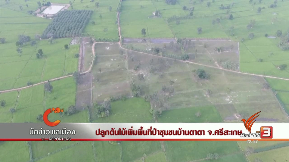 นักข่าวพลเมือง : ปลูกต้นไม้เพิ่มพื้นที่ป่าชุมชนบ้านตาตา จ.ศรีสะเกษ