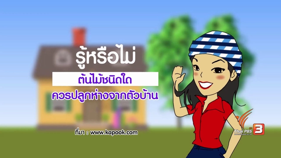 กระจ่างจิต : รู้หรือไม่ต้นไม้ชนิดใดไม่ควรปลูกใกล้บ้าน