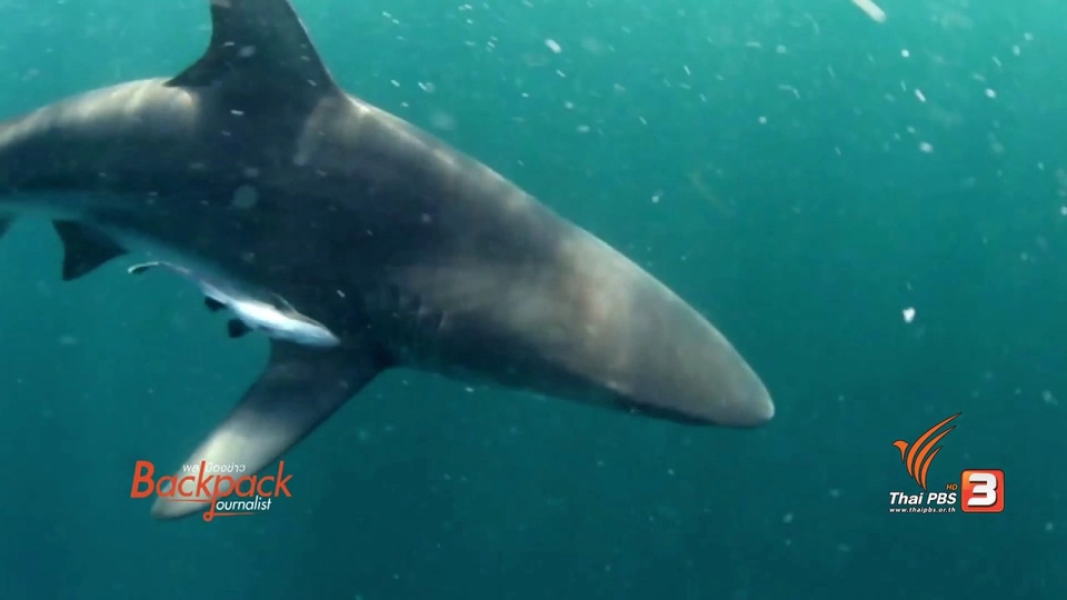 ภัยคุกคาม