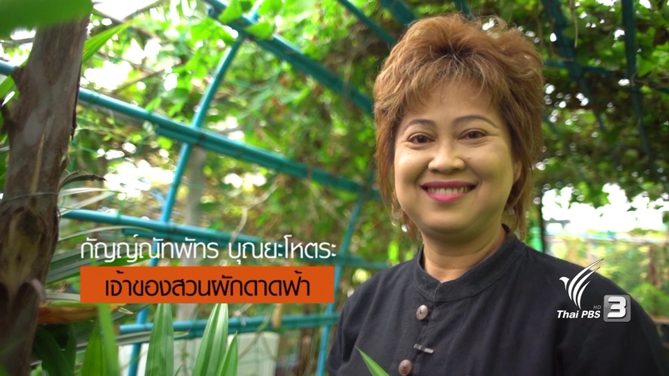 วิธีการปรุงดินให้อร่อย