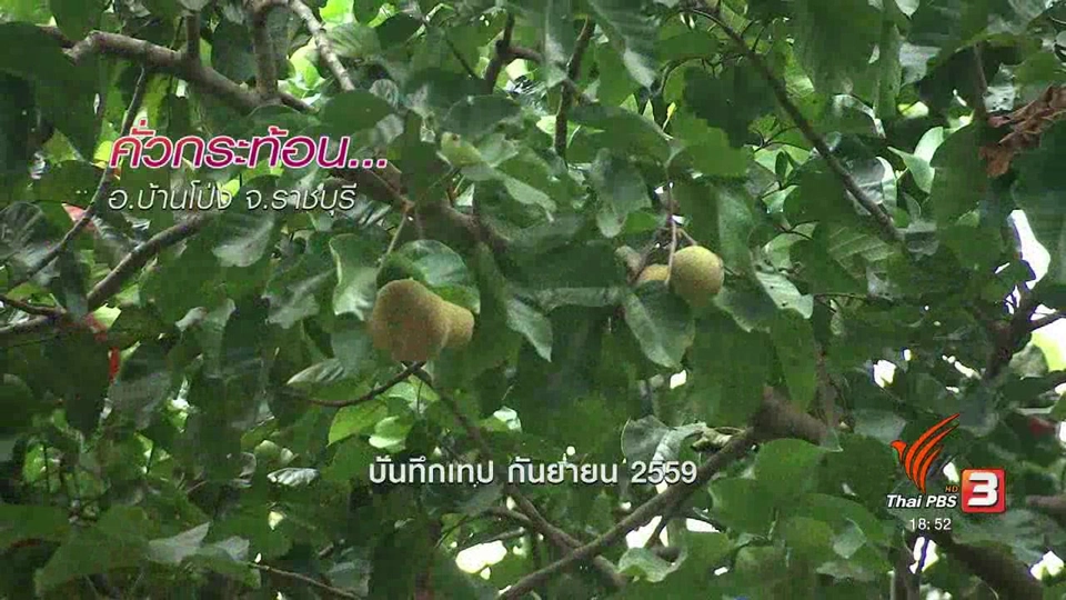 ตะลุยทั่วไทย : คั่วกระท้อน อ.บ้านโป่ง จ.ราชบุรี