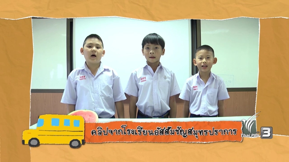 โมเดลเซลล์เชื้อรา