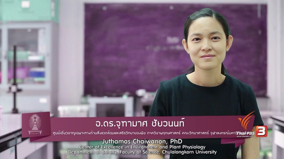 soเชี่ยว FAKE or FACT : พืชรู้สึกเจ็บปวดและส่งเสียงร้องได้จริงหรือไม่