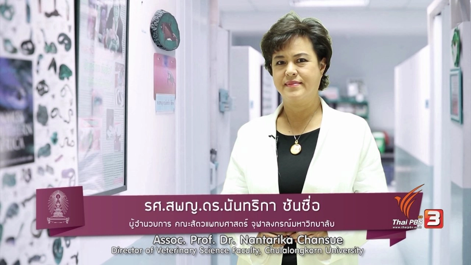 soเชี่ยว FAKE or FACT : อาหารพิสดารจากปลา ปลามีความเจ็บปวดจริงหรือไม่