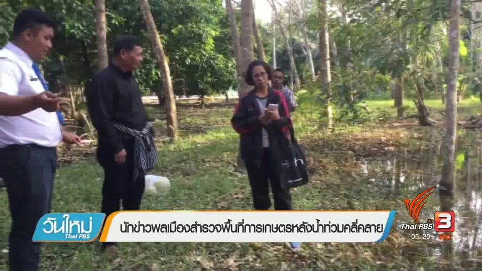 นักข่าวพลเมืองสำรวจพื้นที่การเกษตรหลังน้ำท่วมคลี่คลาย