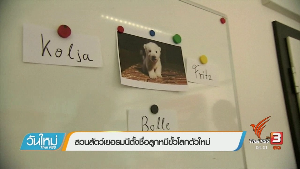 สวนสัตว์เยอรมนีตั้งชื่อลูกหมีขั้วโลกตัวใหม่