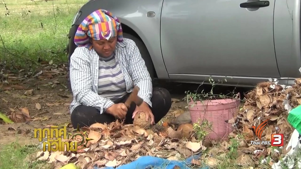 ประเด็นข่าว (3 ก.พ. 60)