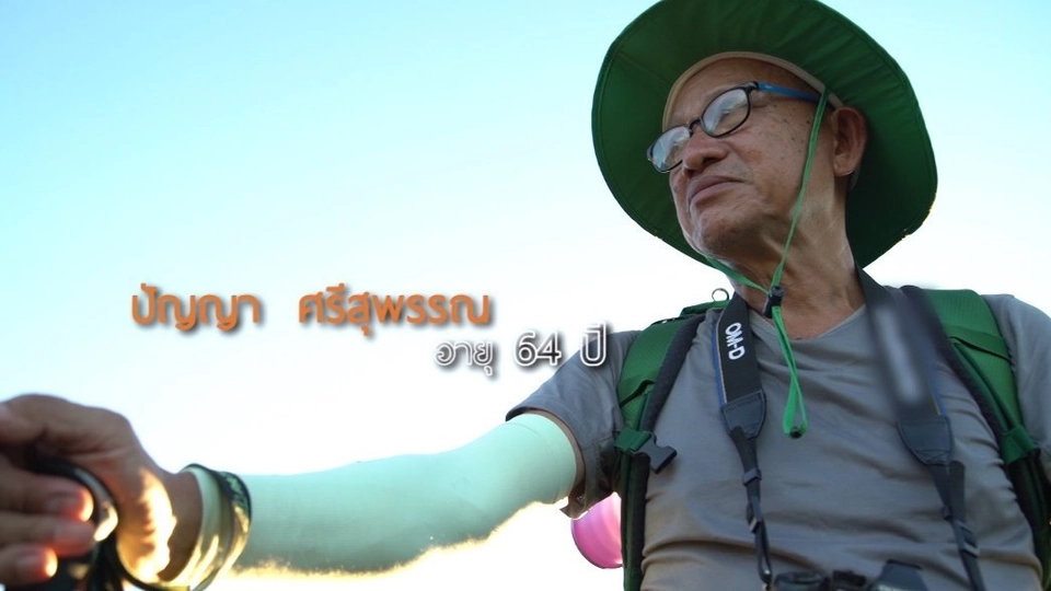 นักเดินทางวัยเกษียณ