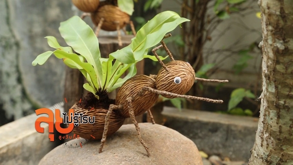 กระถางลูกตีนเป็ด