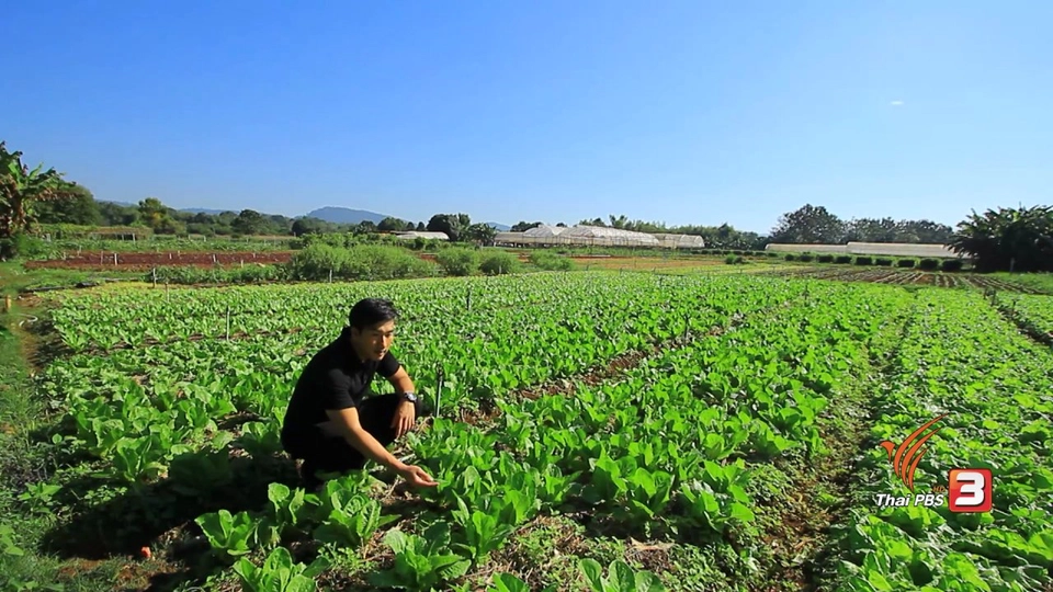 เกษตรสร้างสุข โครงการส่งเสริมกสิกรรมไร้สารพิษตามโครงการพระราชดำริ จ.นครราชสีมา