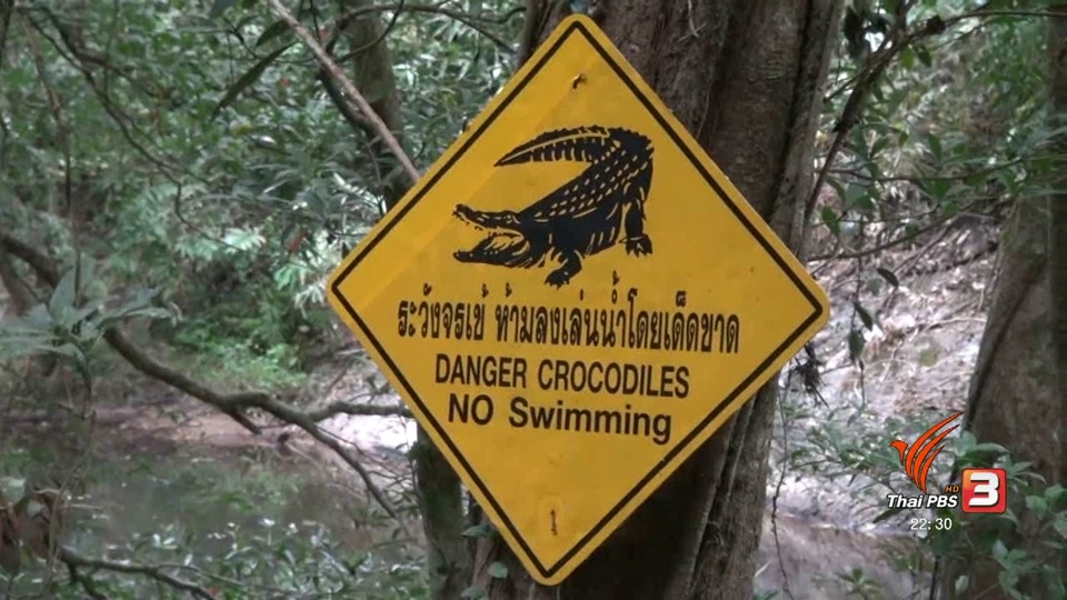 พึงระวังอย่ารบกวนจระเข้