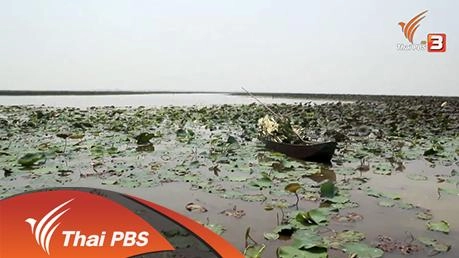 บึงบอระเพ็ด (ที่เข็ดขม)