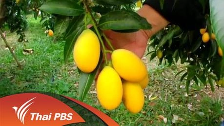 ประเด็นข่าว (4 เม.ย. 59)