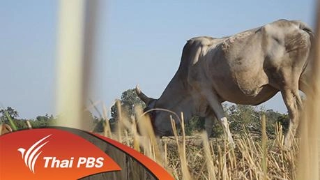 แล้งเราไม่เท่ากัน