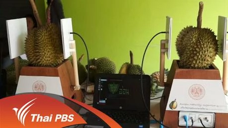 ประเด็นข่าว (5 เม.ย. 59)