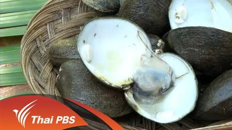 จ.สุราษฎร์ธานี