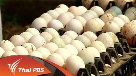 ประเด็นข่าว (2 มี.ค. 59)