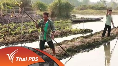 ประเด็นข่าว (3 มี.ค. 59)