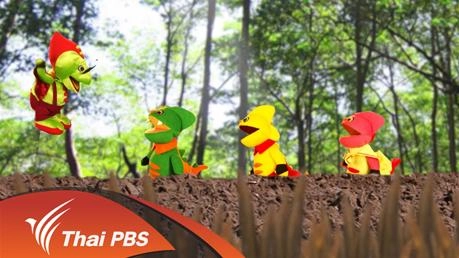 ศึกษาป่าชายเลน