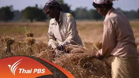 ไทคำยัง ทุ่งทองคำแห่งลุ่มน้ำพรหมบุตร