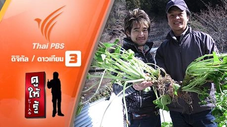 วาซาบิ 400 ปี ดีจากต้นตระกูล