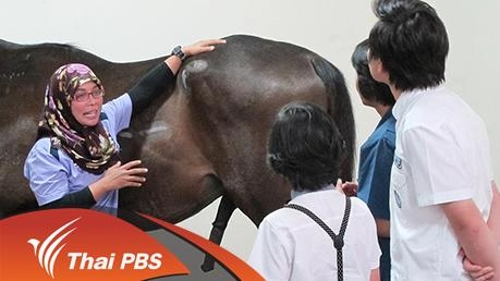 ม้าแข่ง...เจ้าแห่งความเร็ว ตอนที่ 2