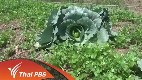 ประเด็นข่าว (15 มี.ค. 59)