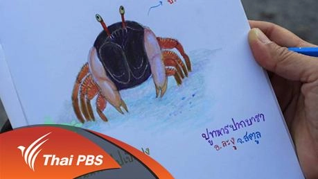 ปูทหารปากบารา