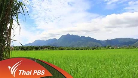 ข้าวแรมฟืน