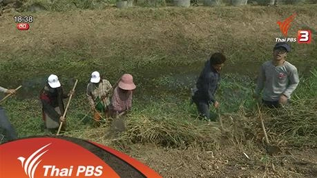นกอาสาสู้ภัยแล้ง : บ้านหนองกระโดนมน จ.สุพรรณบุรี (วันที่ 2)