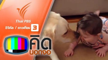 คิดนอกจอ : เด็กน้อยกับหมาแมวชวนกันเล่นสนุก