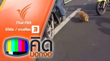 คิดนอกจอ : นักขี่มอเตอร์ไซค์ช่วยกันจับสุนัขบนถนน